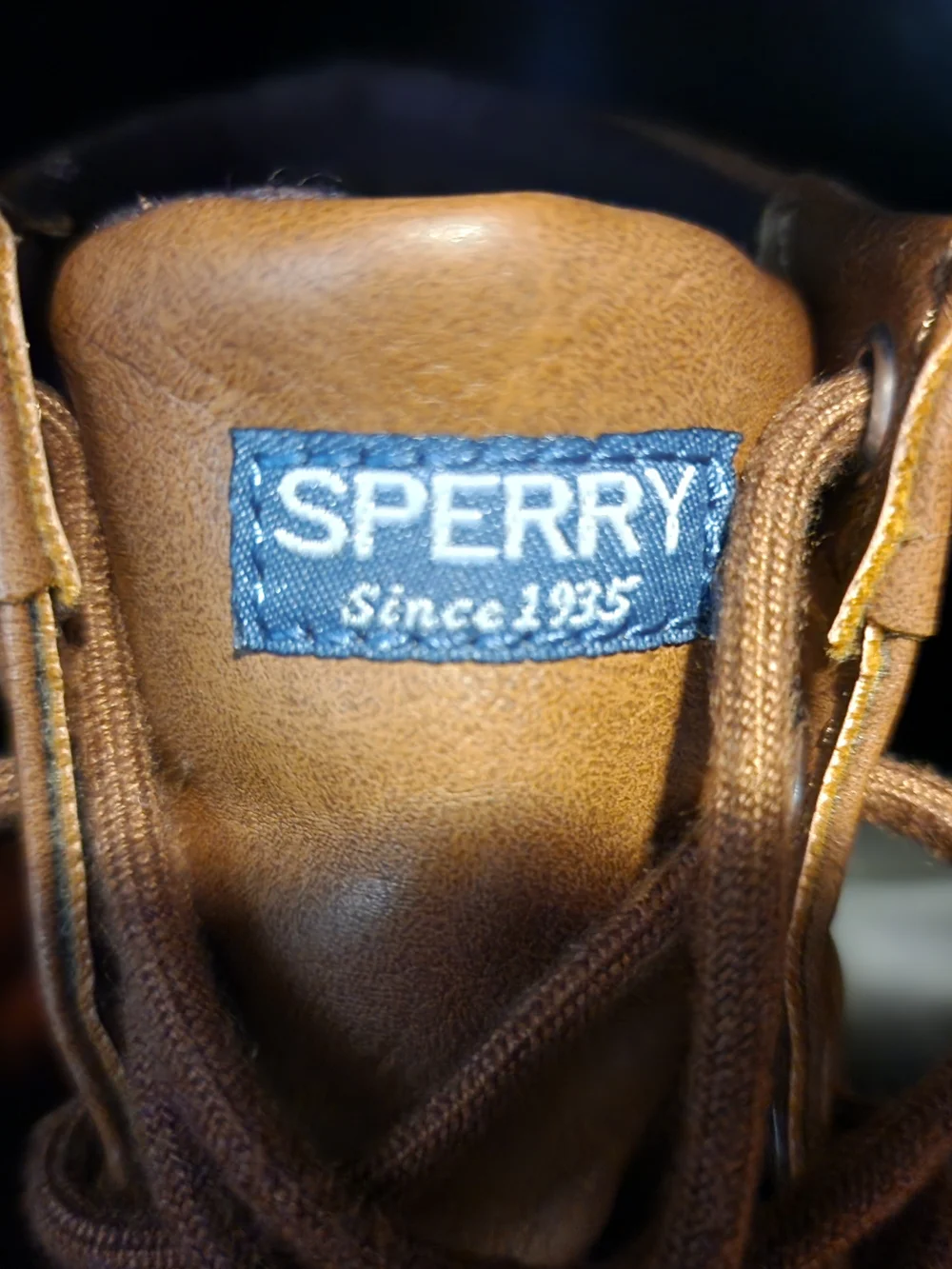 Kids Sperry Waterproof Lace-Up Rain & Snow Boots in Brown and Olive Size 11m